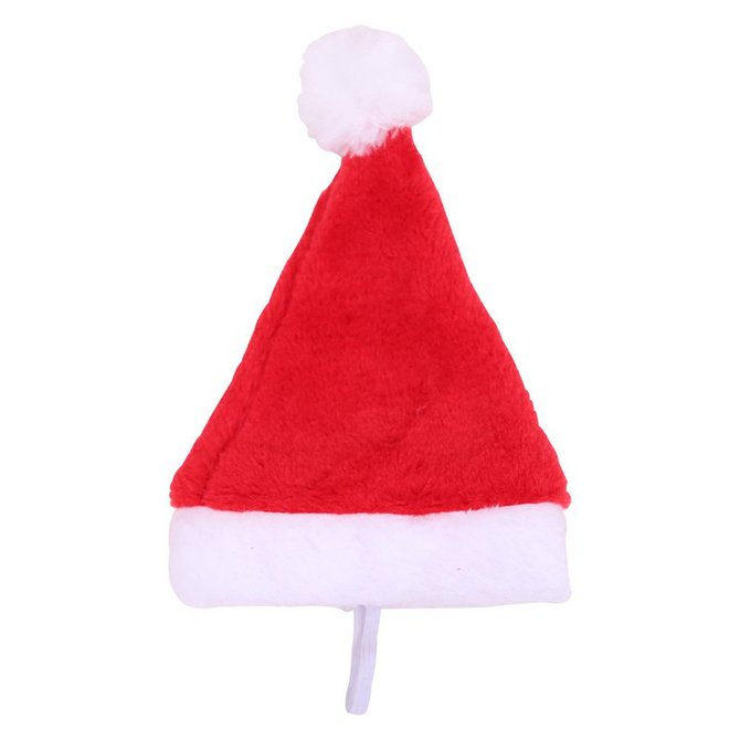 Christmas pet hat