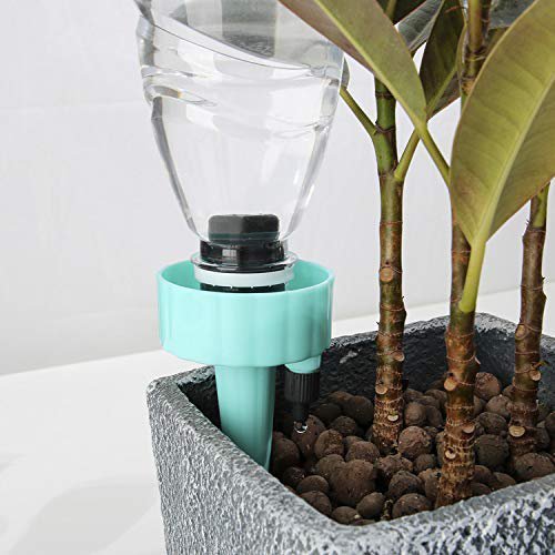 Plant Self Watering Spikes